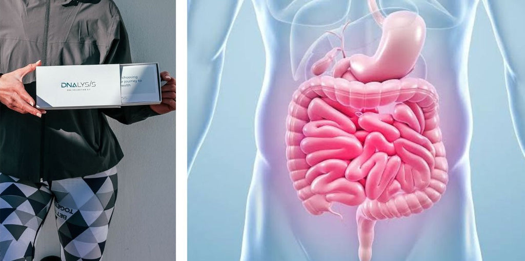DNA Gut: Your Gut’s Full Story, Finally Told