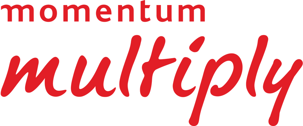 Momentum Multiply – Lisa Raleigh Online Store