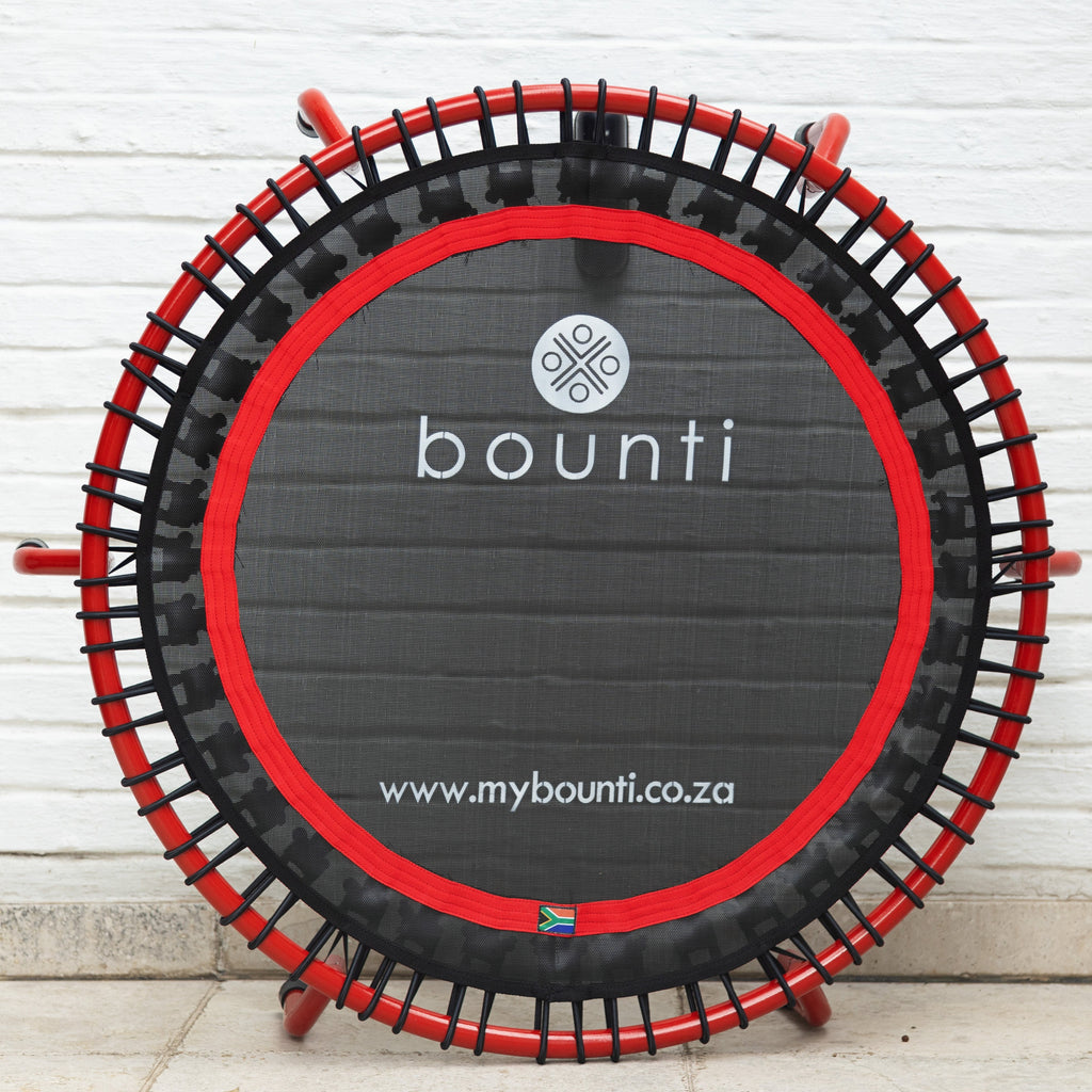 Rebounders for Sale | Shop Bungee & Spring Rebounders – Lisa Raleigh ...