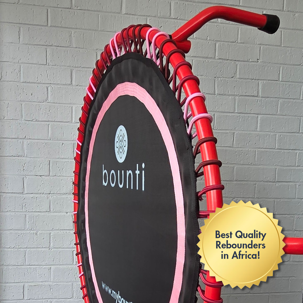 Rebounders for Sale | Shop Bungee & Spring Rebounders – Lisa Raleigh ...