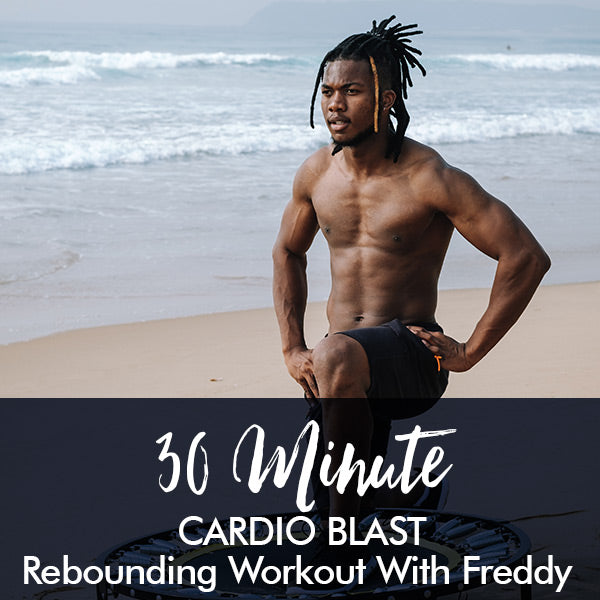 30-Minute Cardio Blast Beginners Workout with Freddy - Lisa Raleigh Online Store
